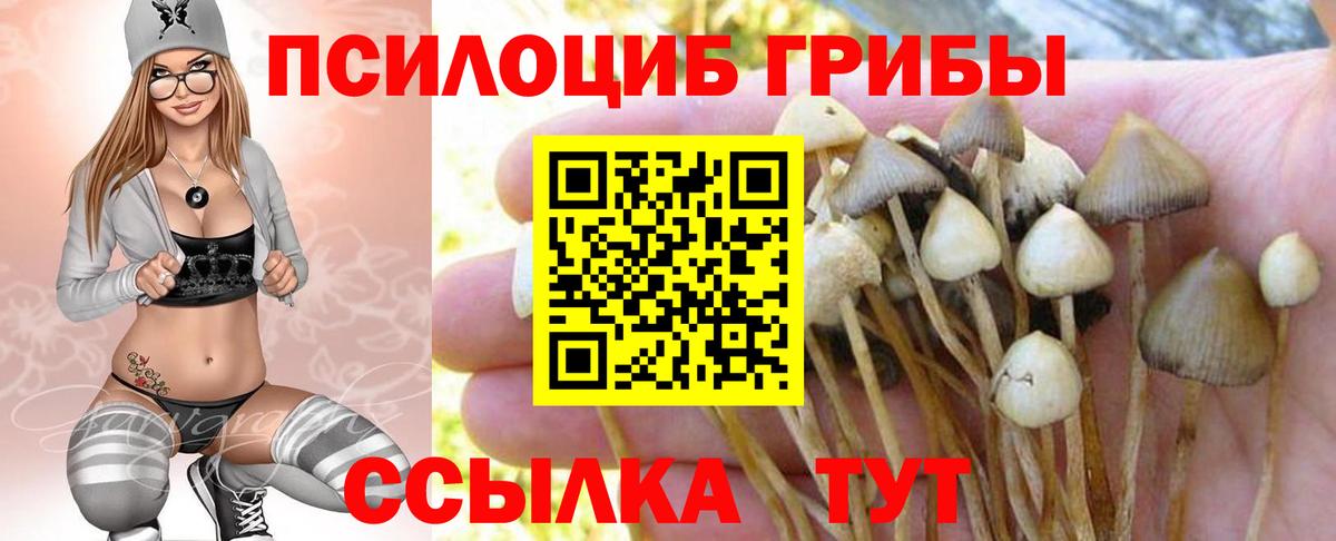 Галлюциногенные грибы Cubensis Рыбинск